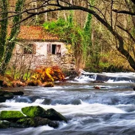 Area Mayor * マルピカ