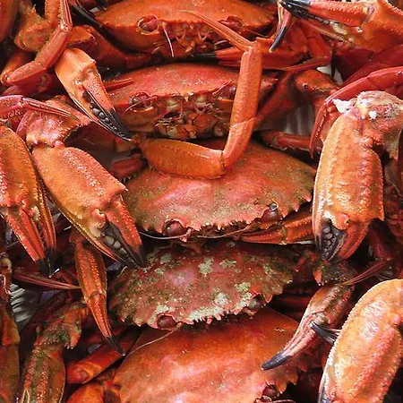 Area Mayor アパート マルピカ