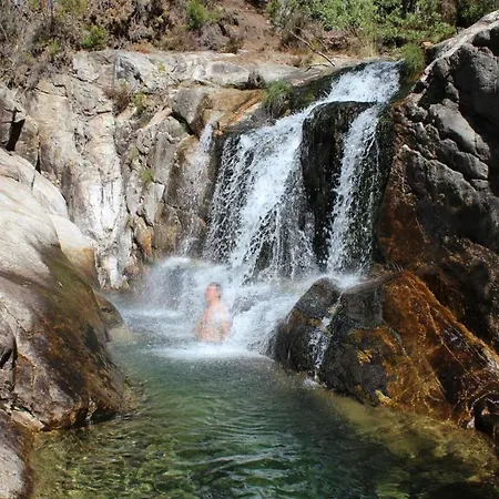 Area Mayor * マルピカ