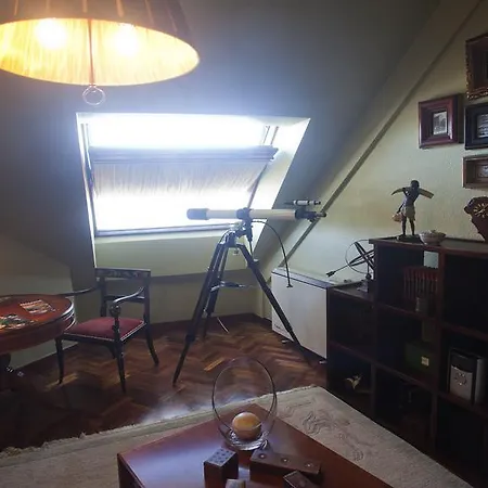 Lejlighed Area Mayor