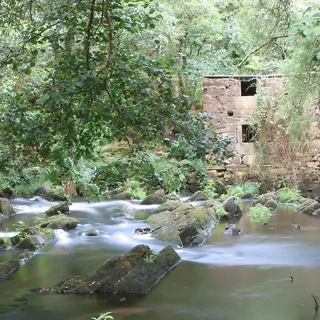 Area Mayor * Malpica