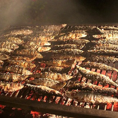 Area Mayor Lejlighed *