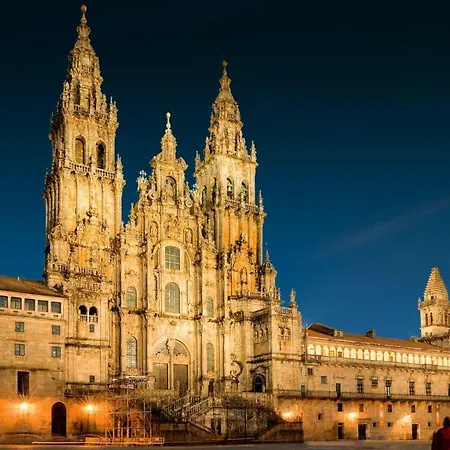 Lejlighed Area Mayor