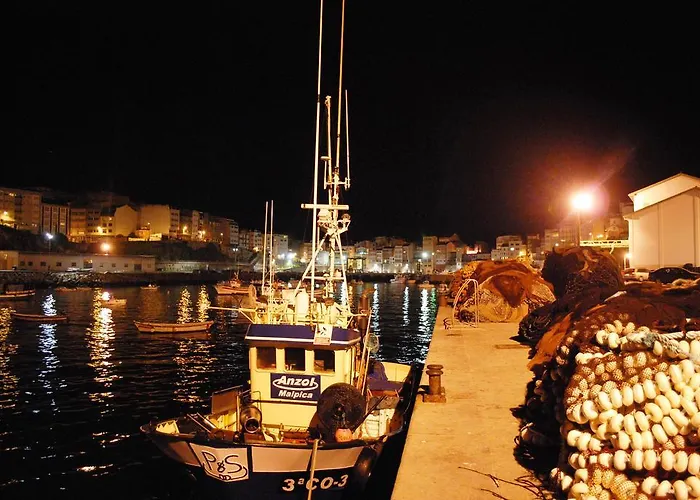 Area Mayor Daire Malpica