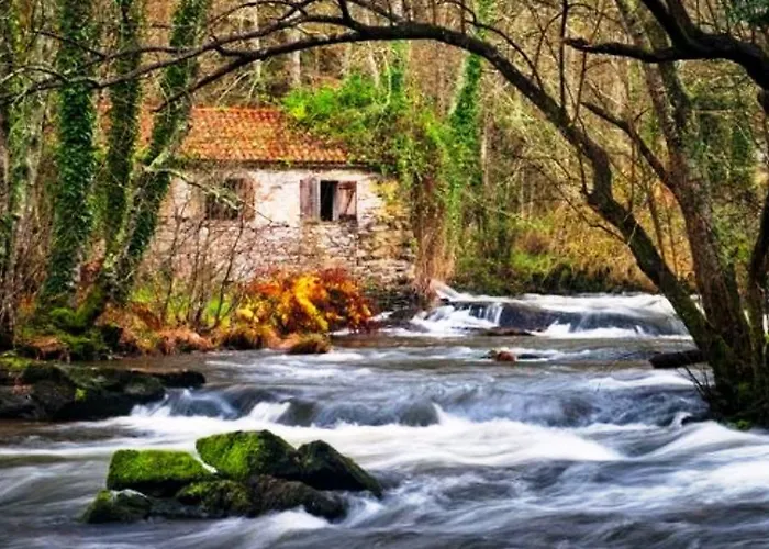 Area Mayor * Malpica