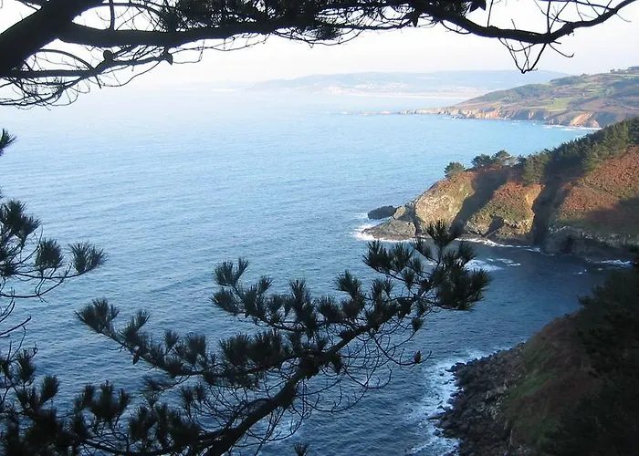 Area Mayor Daire Malpica