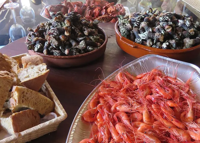 Area Mayor Daire Malpica