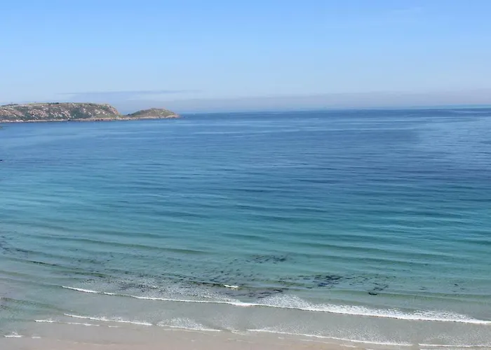 Area Mayor Daire Malpica