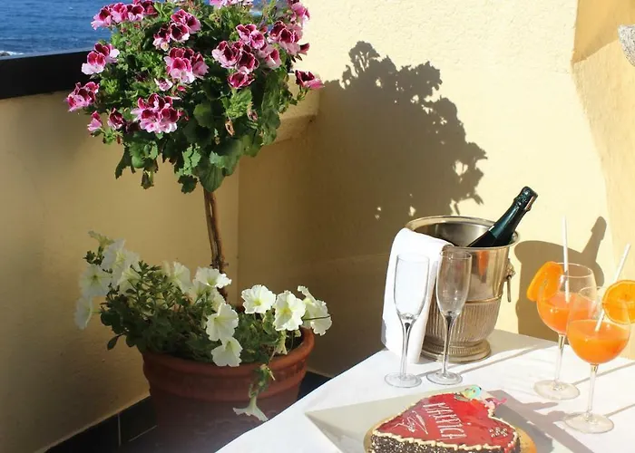 Area Mayor Daire Malpica