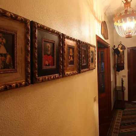 Апартаменты Area Mayor