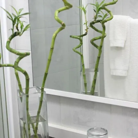 Апартаменты Area Mayor *