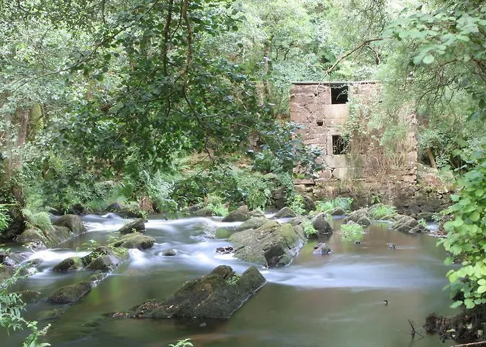 Area Mayor * Malpica