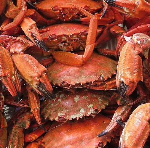 Area Mayor Appartement Malpica